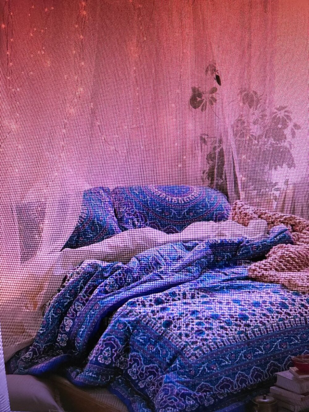 Urban Outfitters Duvet with 2 Pillow Shams